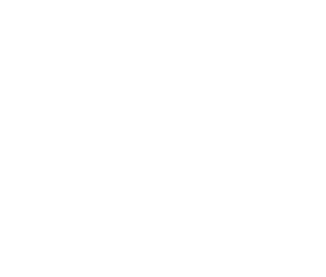 SP Audits